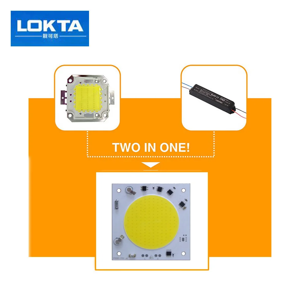 

5PCS/LOT COB LED Lamp Chip 20W 30W 40W AC220V Smart IC Driver light beads for diy Spotlight Floodlight Cold White