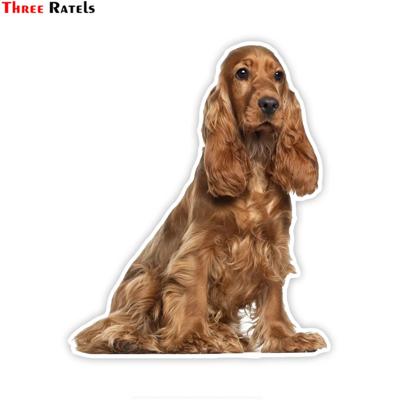 

Three Ratels LCS005# 14x17cm golden cocker spaniel puppy colorful car sticker funny car stickers styling removable decal