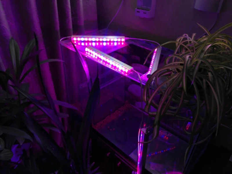 UT8O4uYX10XXXagOFbX6