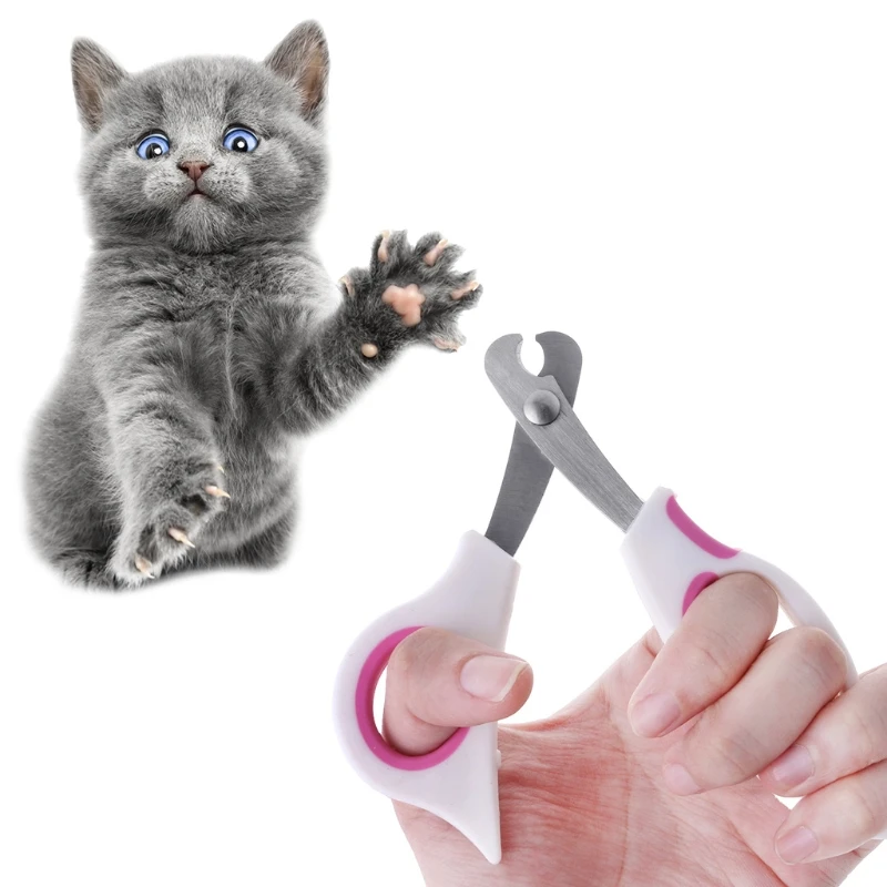 Кошка Когти Купить