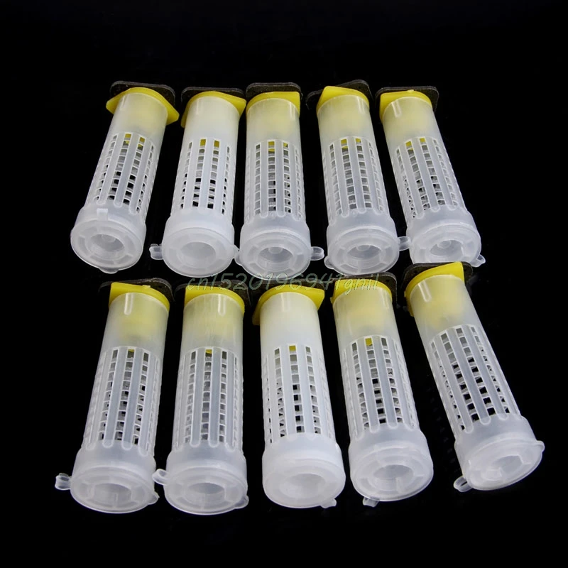 

10Pcs Beekeeping Rearing Cup Kit Bee Queen Cages Roller Beekeeper Equipment Tool