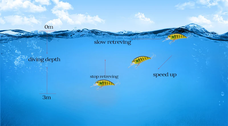 water-level.jpg