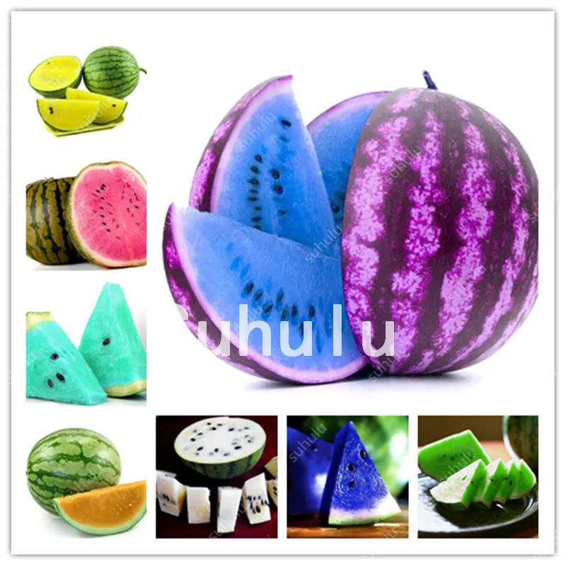

30 Pcs Melon Plants Mixed Watermelon Bonsai Sweet Fruit Plant Variety Fresh Cool Summer Bonsai Plant For Home Garden Rare Edible