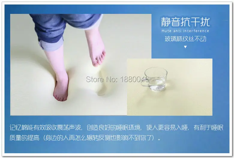 FHDCMEMFMS00204