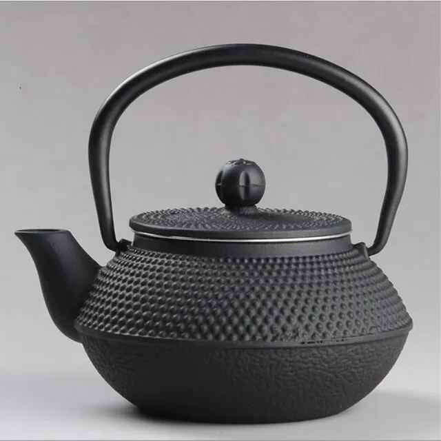 Authentic Japanese Cast Iron Teapot Set Tea Pot Tetsubin Kettle