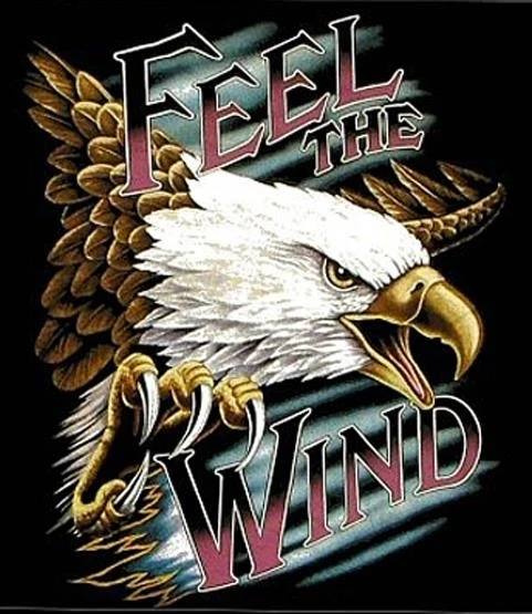 SIZE M FEEL THE WIND FLYING EAGLE BLACK SHORT SLEEVE TEE SHIRT #66