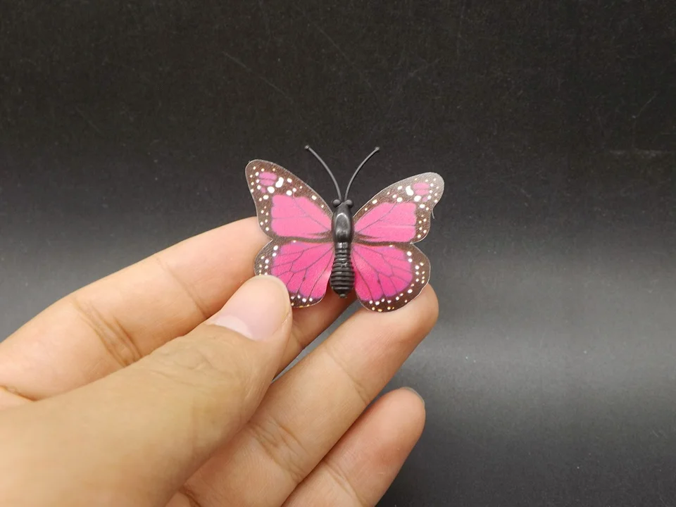 I249-Butterfly (1)