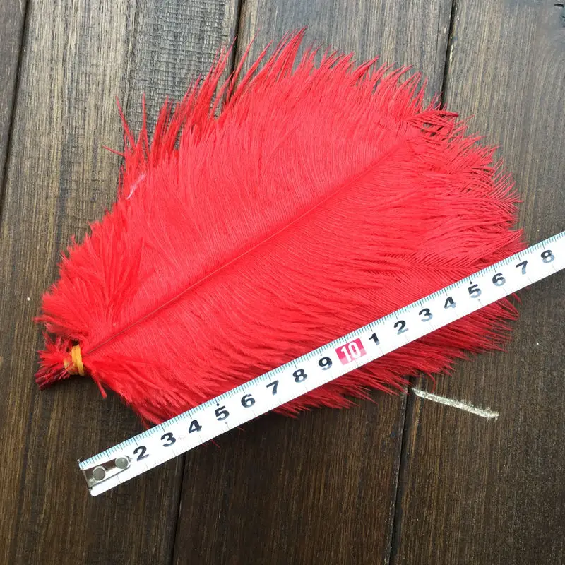Ostrich feather1