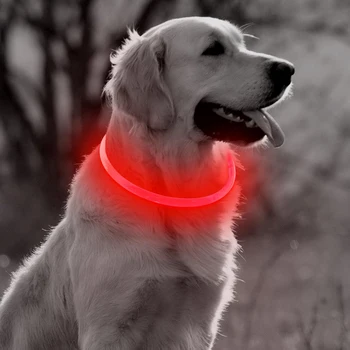 

Collars For Pet Dog Night Safety Flashing Glow Dog Leash Plastic LED Dogs Luminous Fluorescent Charging Pet Dog Collar Hot Sale