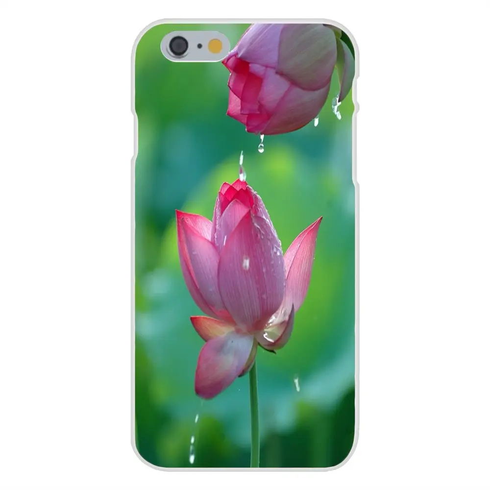 20150812120645_wJBUL.thumb.700_0