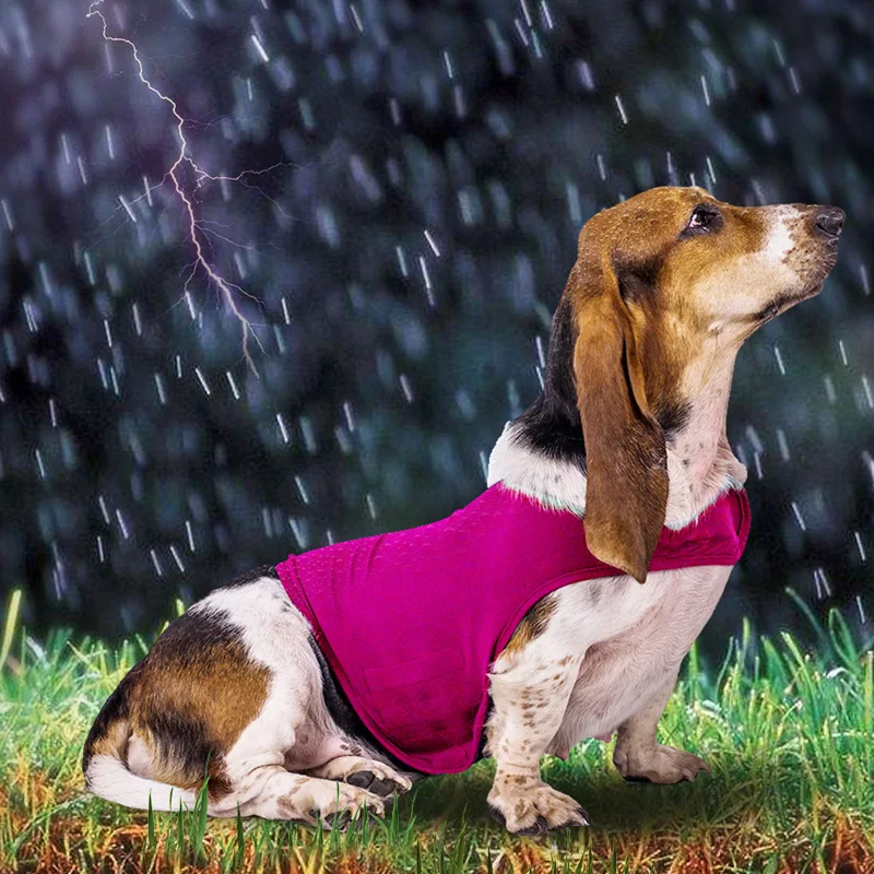 

Pets Sport Dog Stress Treatment Pet Supplies Chaleco Perro 1PC Dog Vest Pet Emotional Appeasing Clothes For Dog