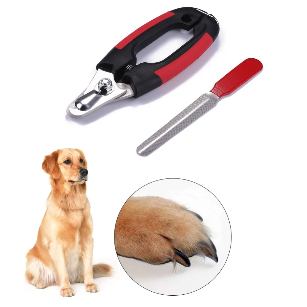 dog grooming cutters
