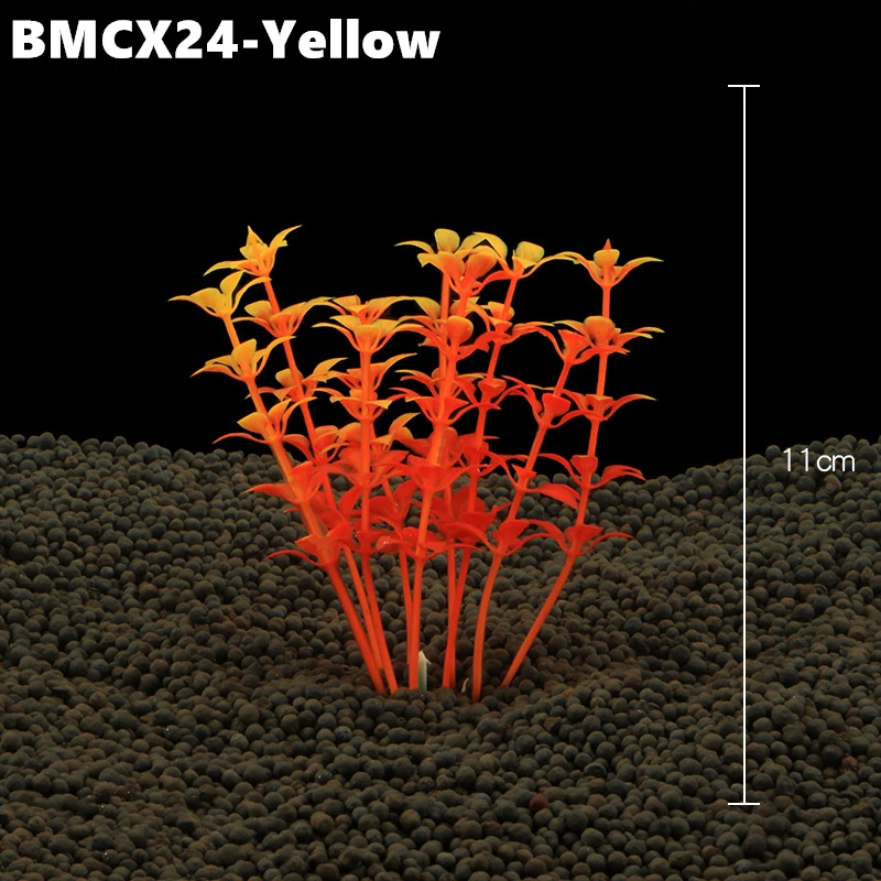 BMCX24 (3)