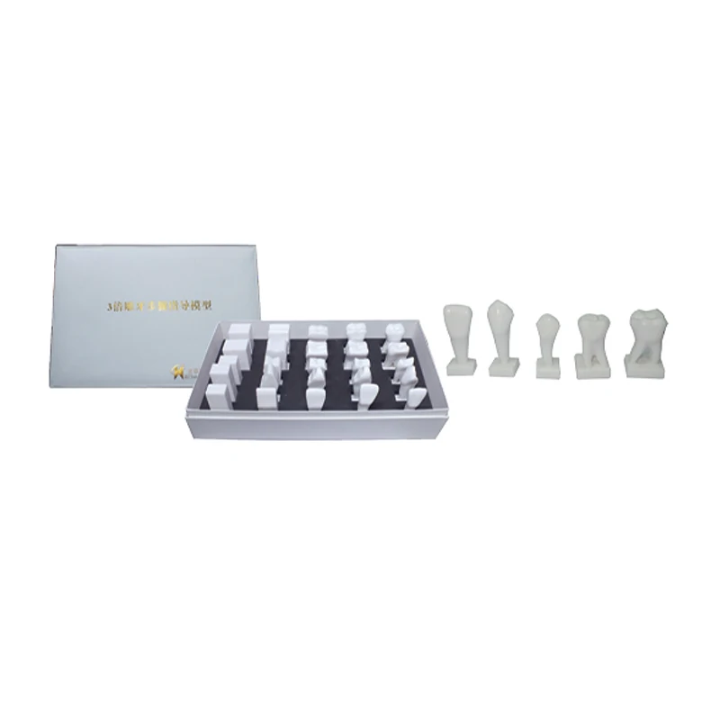 

Dental Study Teaching 3 Times Procedure of Carving Guide Model