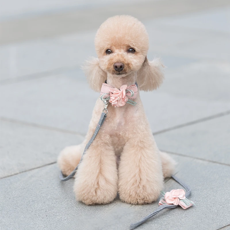 dog harness with bow