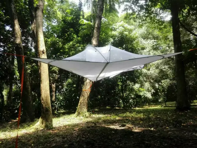 Best price at $353 Cheap Merry Christmas NEW PRODUCT DOUBLE PERSON luxury waterproof camping tent tree tent hammock