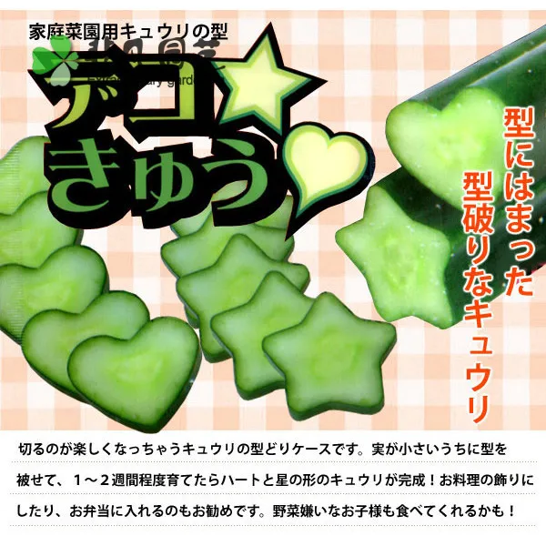 Plastic Transparent Growing Mould for Garden Bonsai, Strawberry Growth Forming Mold, Star and Heart-Shaped, 2 Sets