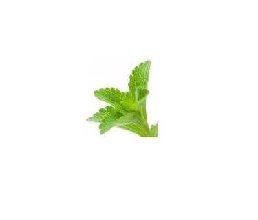 

0 Calories Health sugar Granular Stevia 500gram/lot free shipping