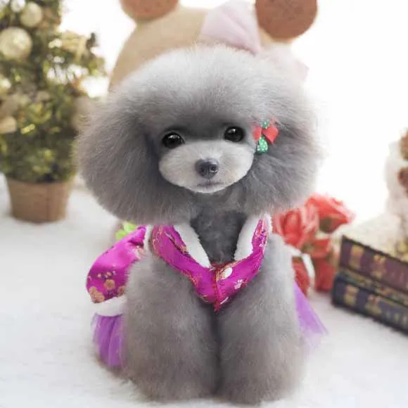 Chinese Styel Designer Pet Dog Cat Clothes Puppy Dog Cat Dress Chihuahua Tang Costume New Year Spring Festival Pet Clothing11