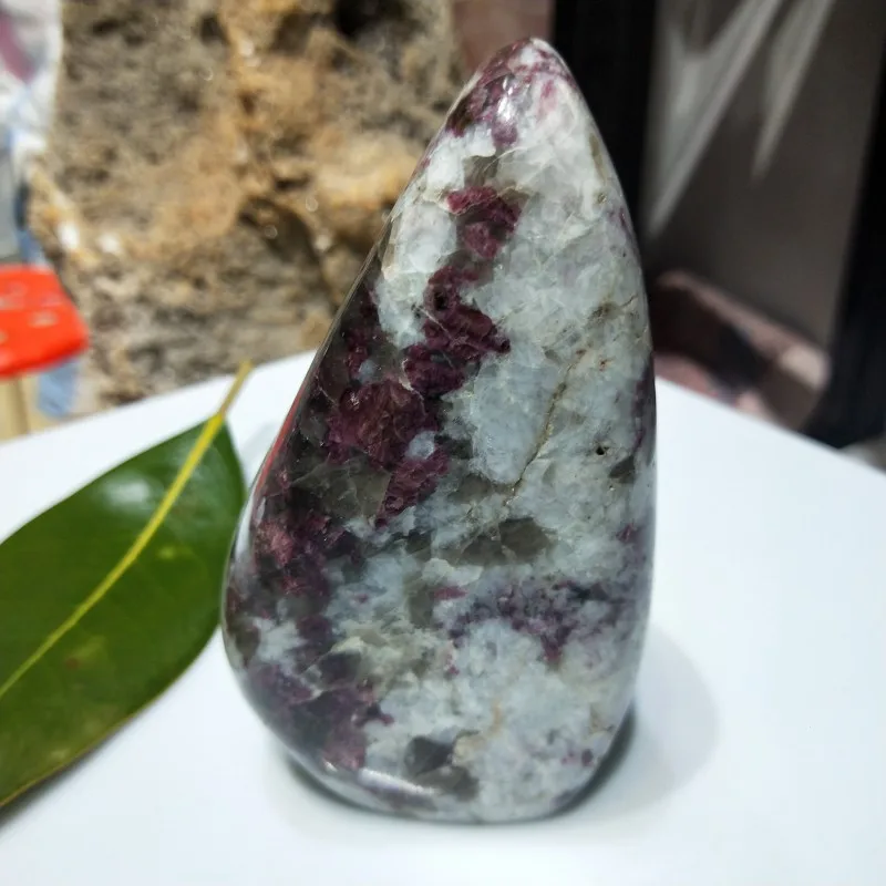 conew_img20190309160709