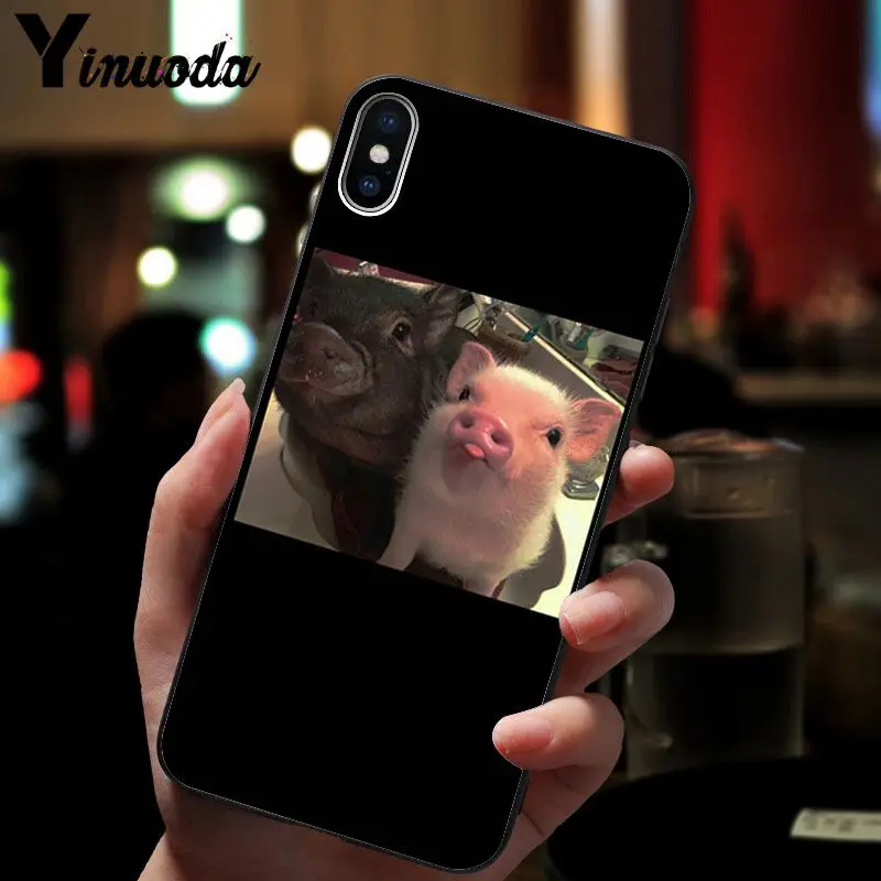 Cute Pig Print 