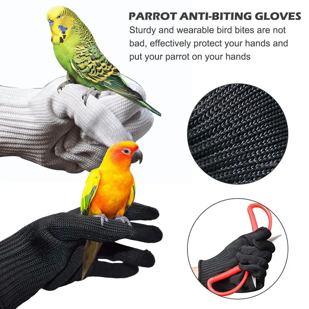 1 пара перчаток против укуса попугая белки Ёж хомяк жевательные защитные дышащие перчатки принадлежности для дрессировки животных 4