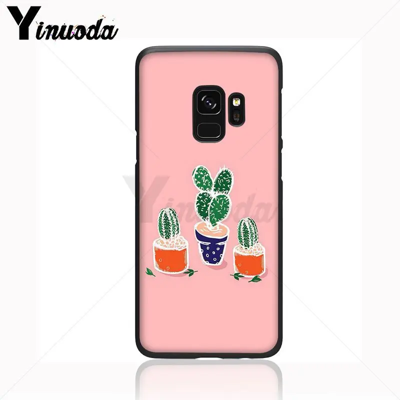 green cactus plant