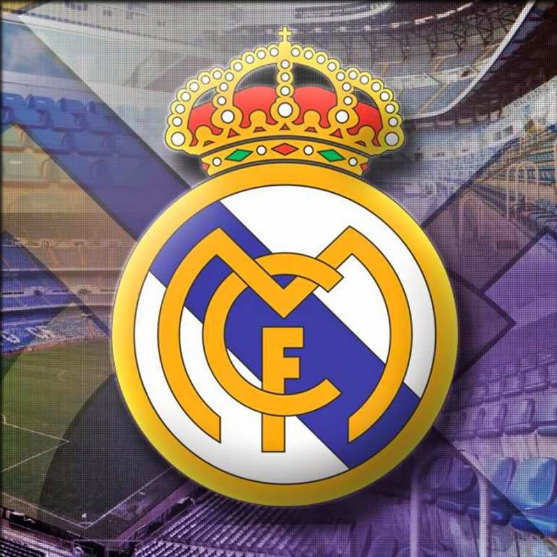 

new Diy Diamond Painting Cross Stitch Diamond Mosaic Needlework Crafts Full Diamond Embroidery Reading football team