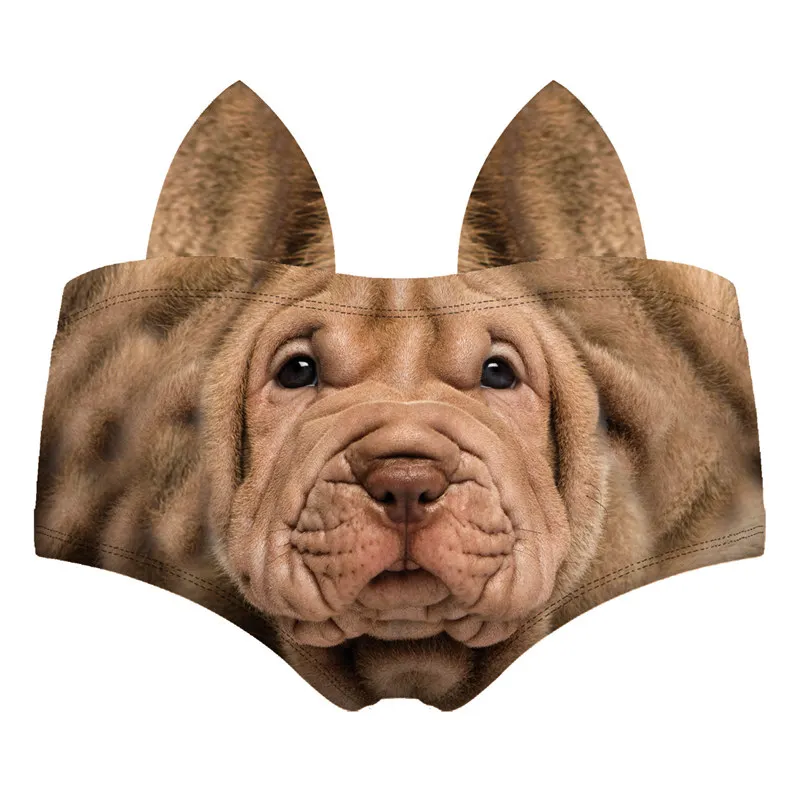 55470 SHAR PEI wiz back