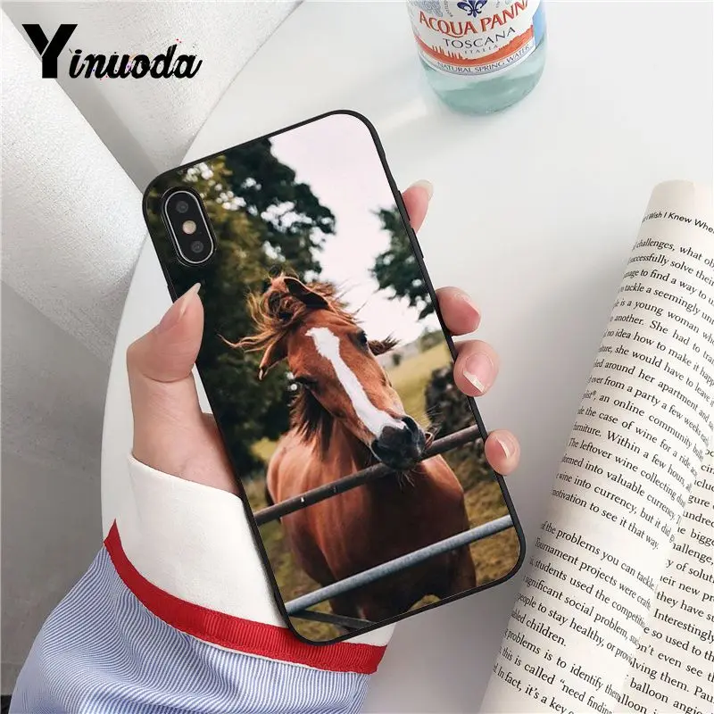 Animal Horse