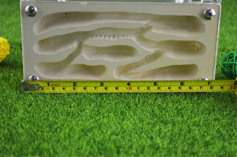 Earth Formicarium designed with ants in mind this sturdy gypsum and acrylic nest measures   (6)
