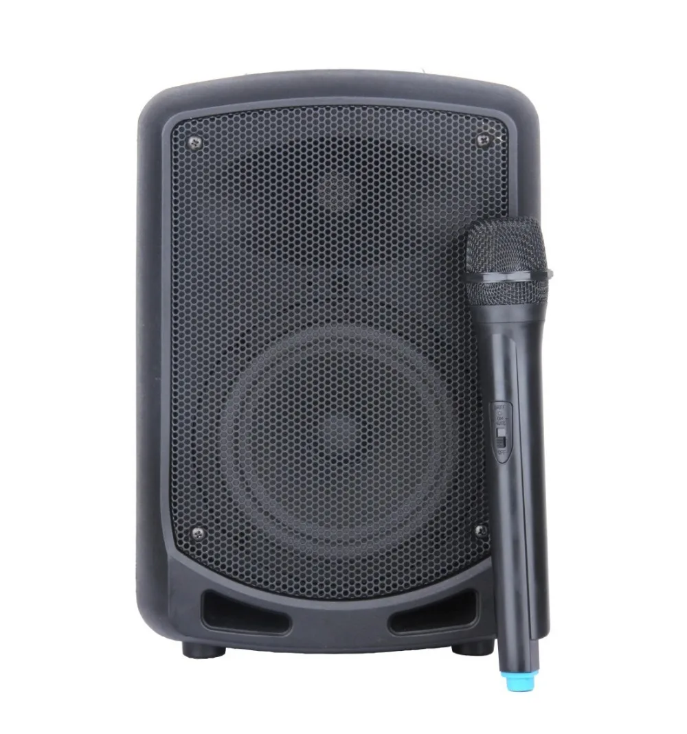 STARAUDIO SBM 065 Pro 6 5 PA DJ 650W font b Recharge b font font b