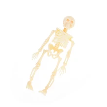 whole body imitation of human