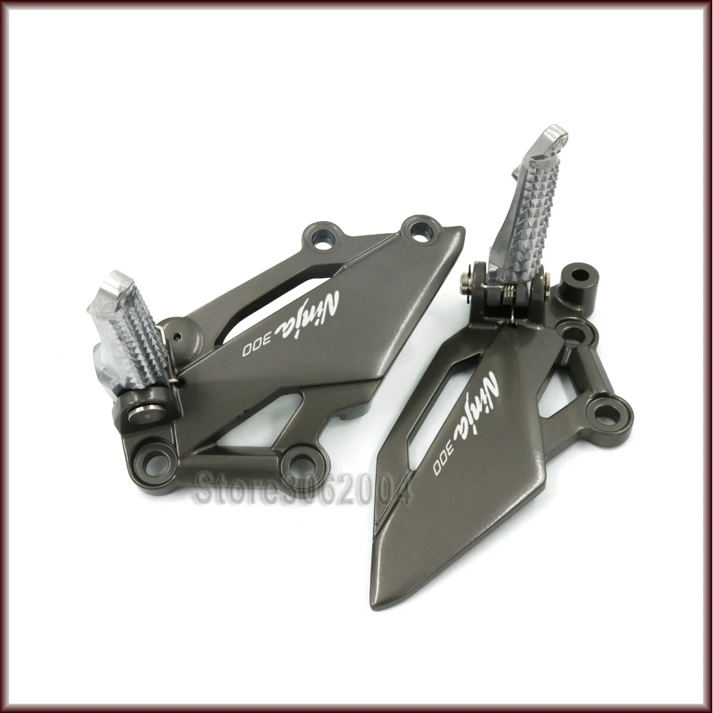 1302-ninja300