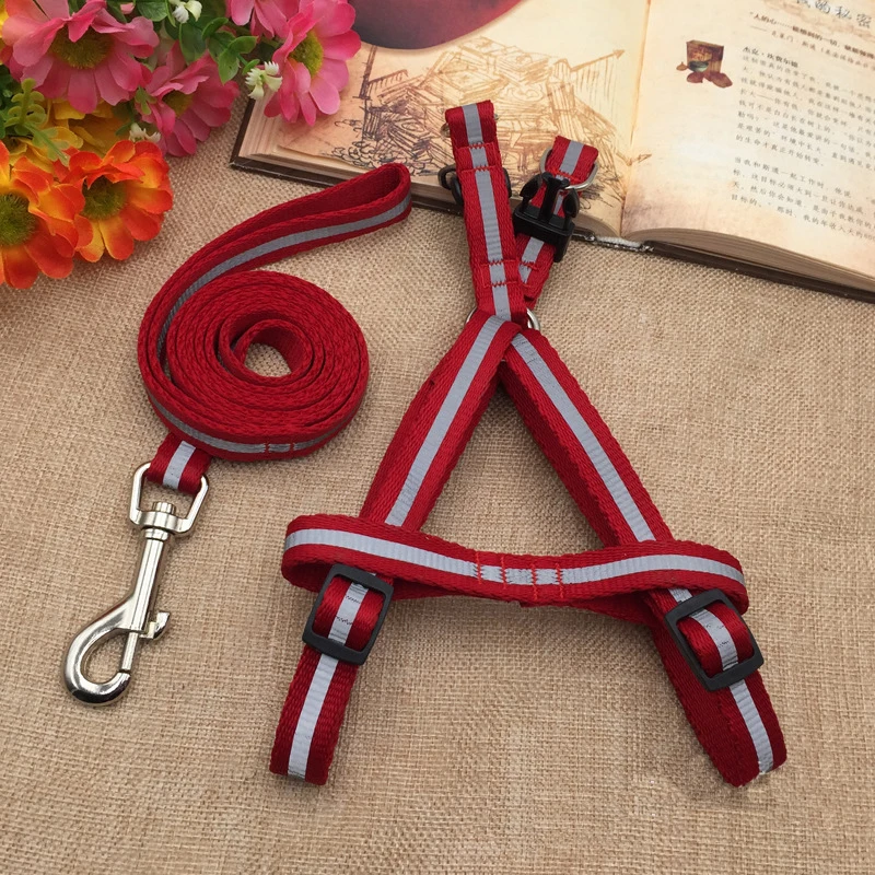 Dogs collars accessories reflective leash Labrador 7