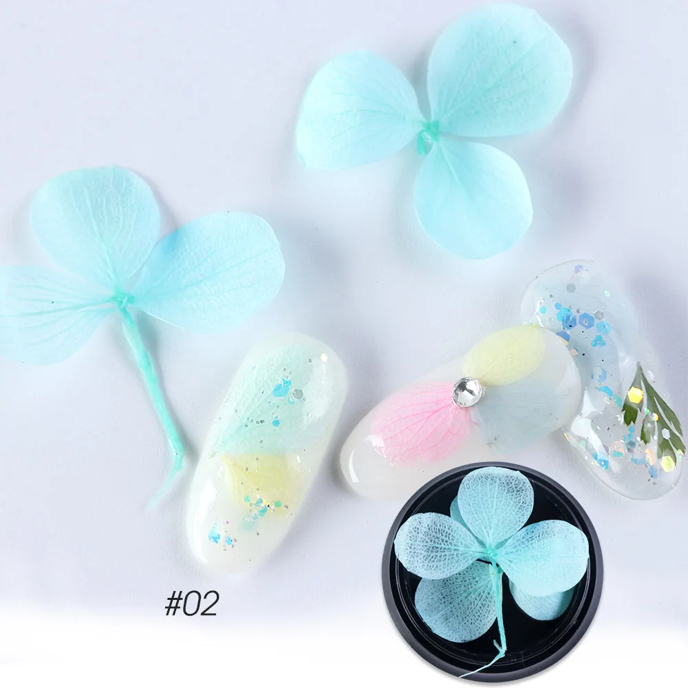 dried flowers C02