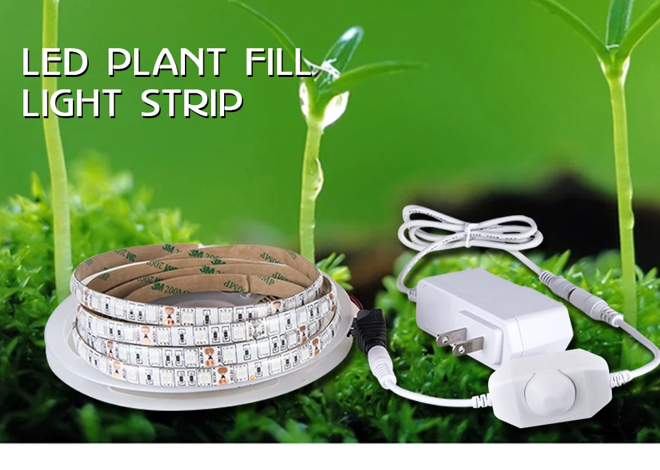 Plant Grow Lights Full Spectrum LED Strip 12V Flowers Phyto Lamp 5M Dimmable Red Blue For Greenhouse Hydroponic + Power Adapter (1)