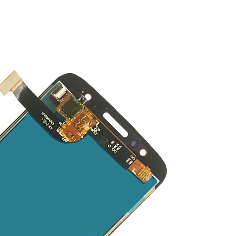 FUTU (3)