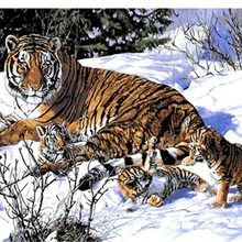 Горячая Тигры игральные печатные DIY цифровая картина маслом по номерам ручная роспись маслом 40x50 см без рамки