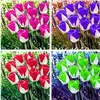 QQ20181210163849