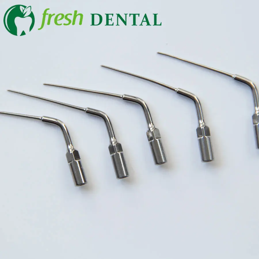 Buy 5PCS Dental Scaler Tips E4 Brand New Ultrasonic
