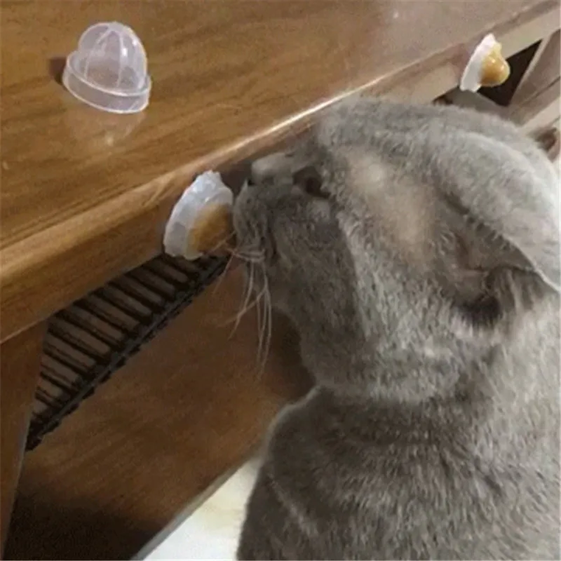 1904021245_8