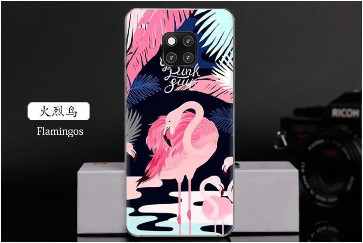  Flamingos