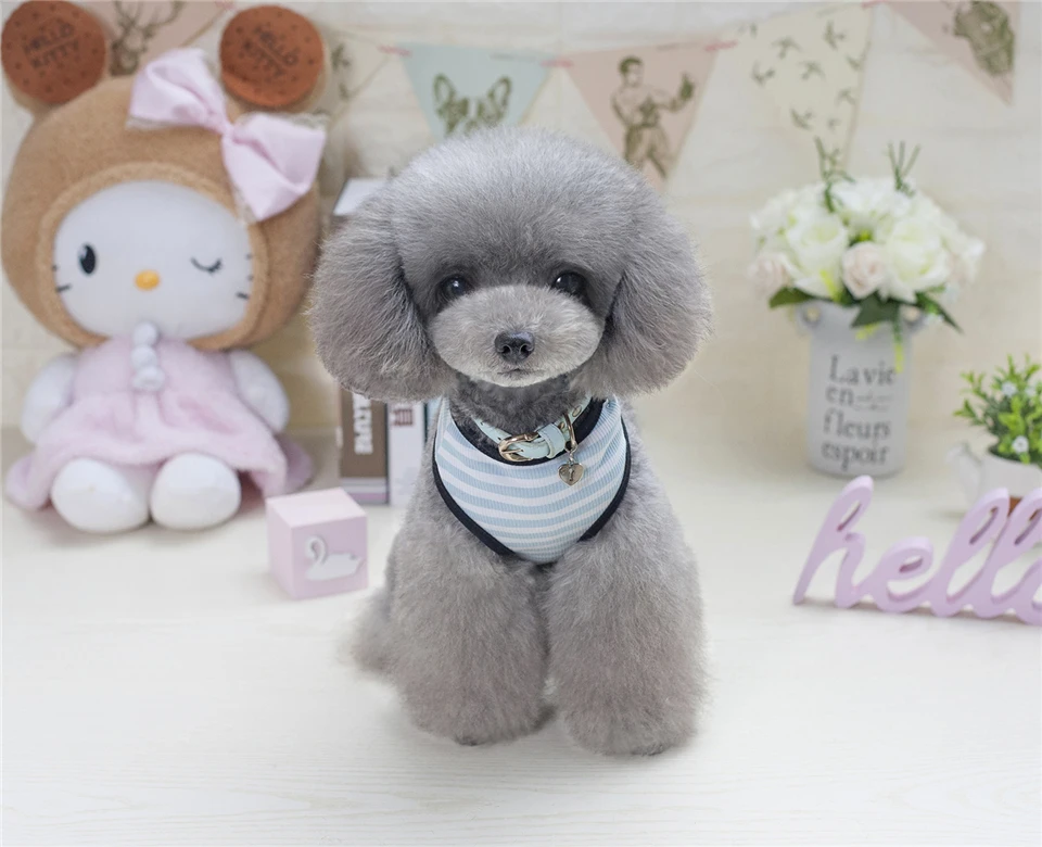 Summer Dog Clothes Clothing for Dogs Chihuahua S M L XL XXL Pet Clothes Vest T Shirt for Small Dog Costume Eye Beard Pattern (9)