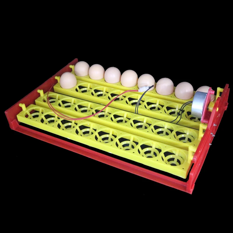 

32 Eggs Turn Tray Automatic Incubator Egg Tray 110v / 220v / 12v Chicken Duck Eggs Tray 28 X 43 cm 8 Holes