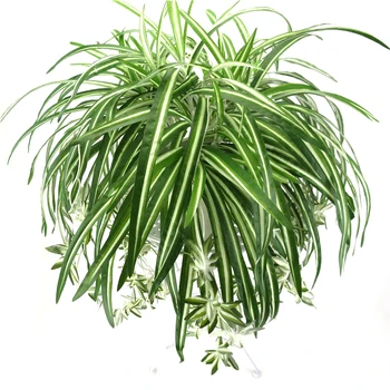 

Artificial flowers plants Wall Hanging Chlorophytum potted green plants PVC Fake Simulation flower living room decor 65cm