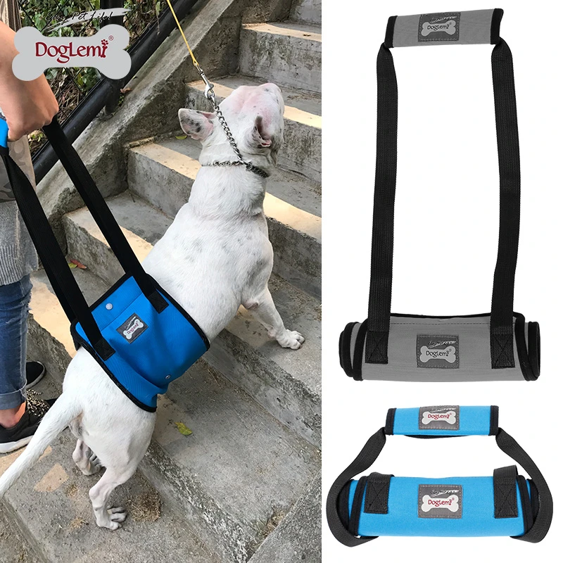 dog harness with handle for lifting