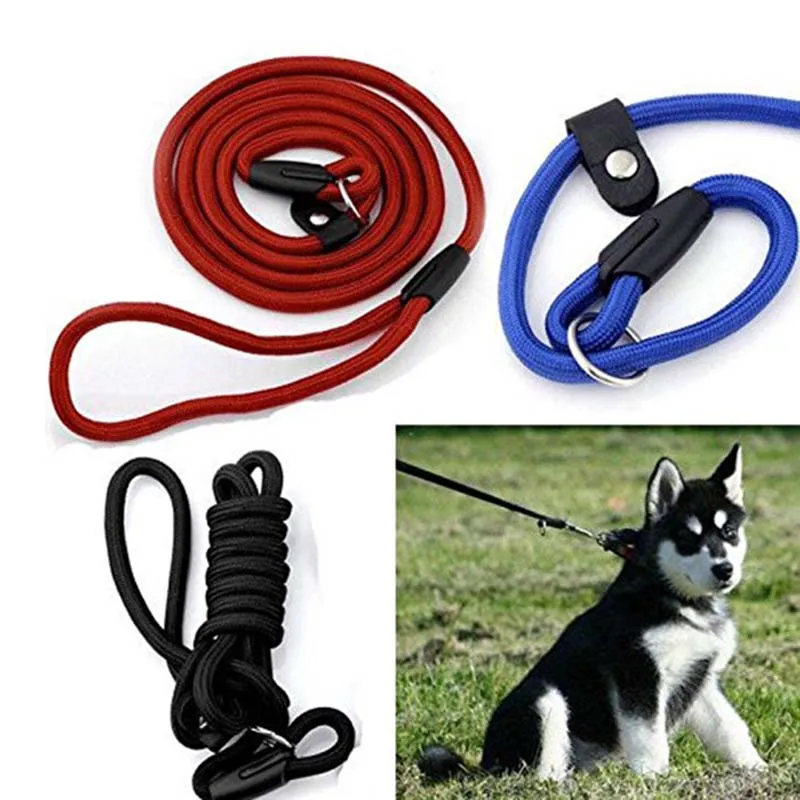 Pet Slip Lead Nylon Dog Rope Training Leash Collar Dog Whisperer Cesar Blue Red Black 0.8120cm 1.0120cm1