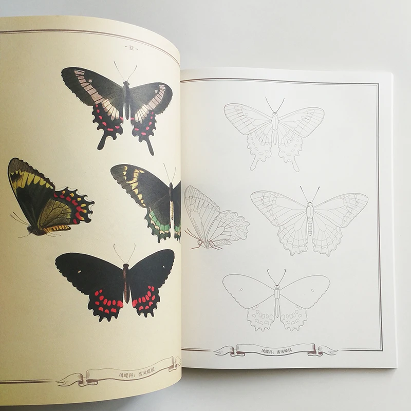 Бабочки-ходить в музее с раскраской серии Книга-раскраска для детей/взрослых китайская версия анти-стресс