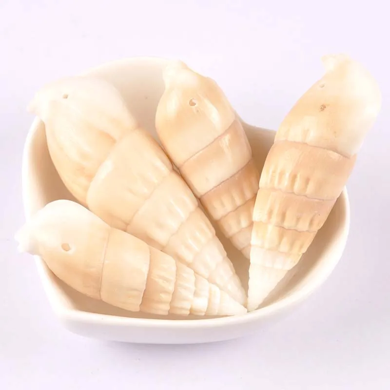 

60-80mm Bullet pattern Natural Spiral Shell Loose Beads for jewelry making Bracelet Necklace Earring Making DIY 1pcs TRS0285